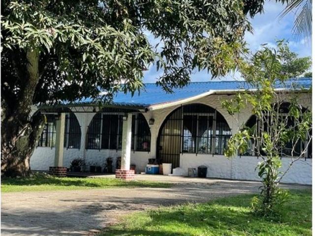 Cortijo de alto standing en venta Nuevo Vigía, Provincia de Colón