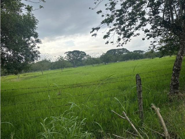 Finca en venta en Obando, Valle Del Cauca