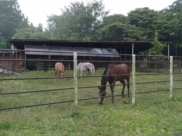 Cortijo de alto standing en venta Pacora, Panamá