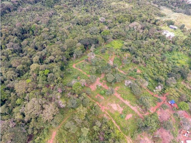 Cortijo de alto standing en venta Pedregal, Panamá