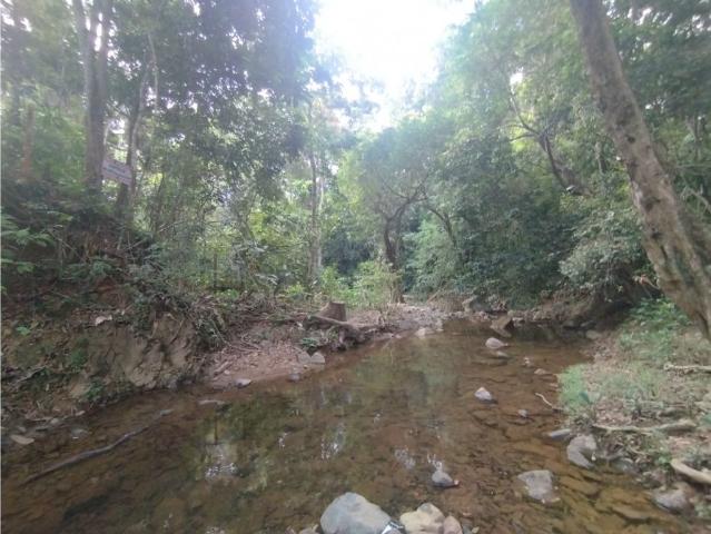 Cortijo de alto standing en venta Pedregal, Panamá