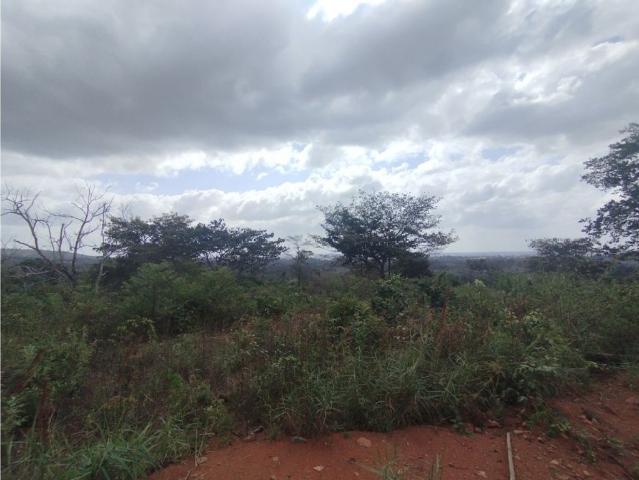 Cortijo de alto standing en venta Pedregal, Panamá