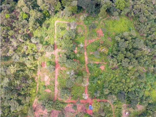 Cortijo de alto standing en venta Pedregal, Panamá