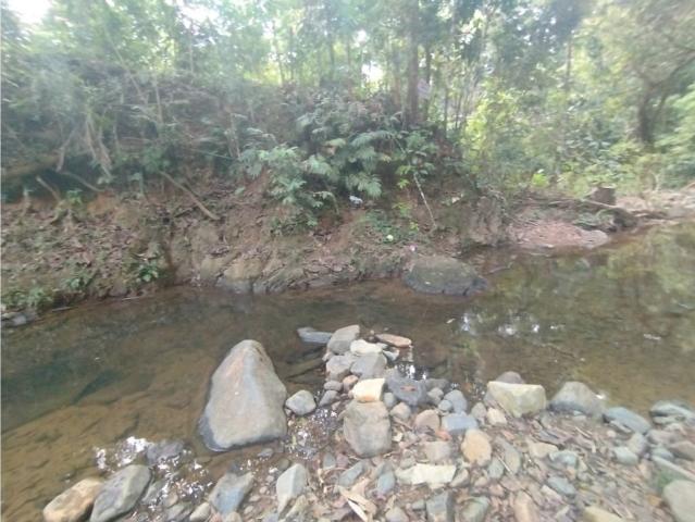 Cortijo de alto standing en venta Pedregal, Panamá