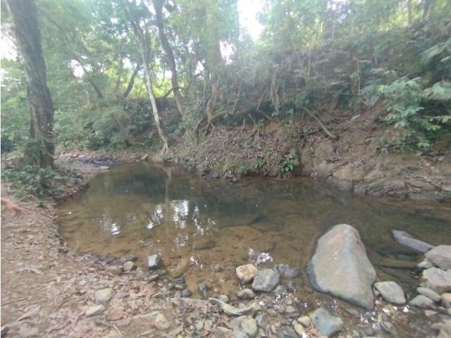 Cortijo de alto standing en venta Pedregal, Panamá