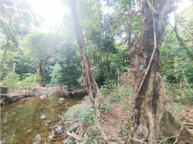 Cortijo de alto standing en venta Pedregal, Panamá