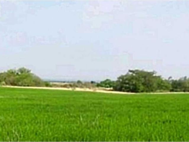 Cortijo de alto standing en venta Piedras, Departamento de Tolima