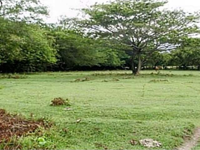 Cortijo de alto standing en venta Piedras, Departamento de Tolima