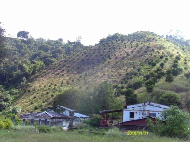 Finca en venta en Quindío