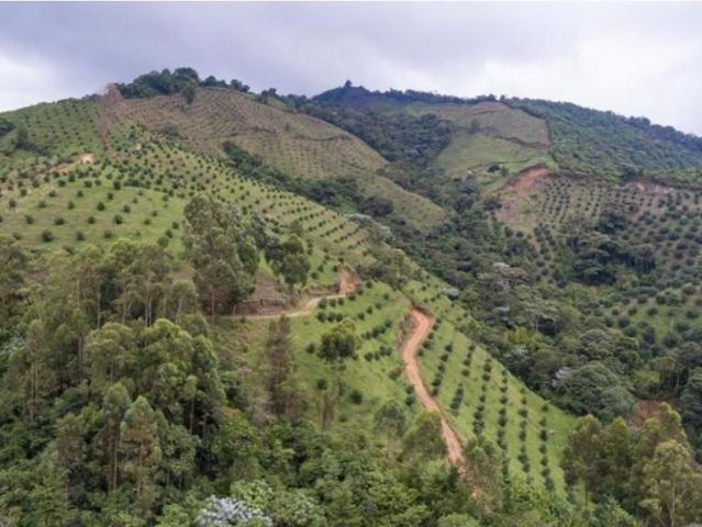 Finca en venta en Quindío