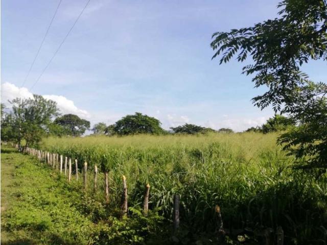 Cortijo de alto standing en venta Piojó, Atlántico