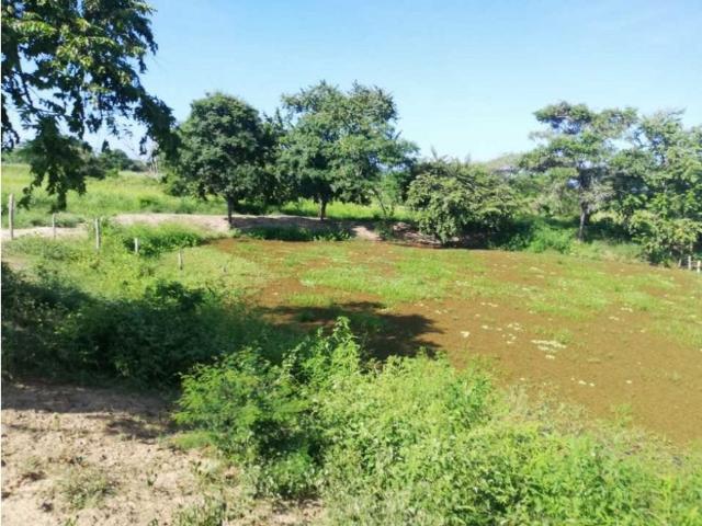Cortijo de alto standing en venta Piojó, Atlántico