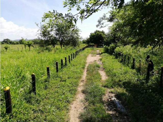 Cortijo de alto standing en venta Piojó, Atlántico