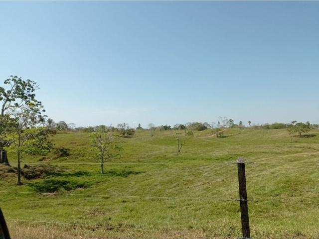 Finca en venta en Córdoba