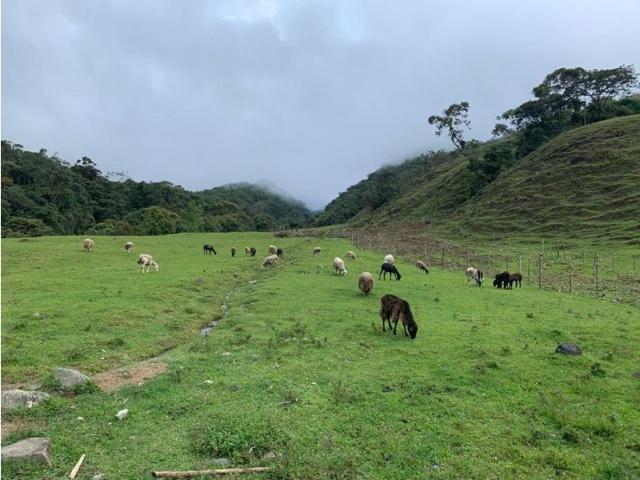Finca en venta en Risaralda