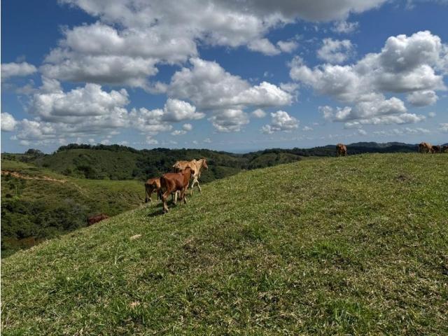 Finca en venta en Antioquia, Magdalena Medio
