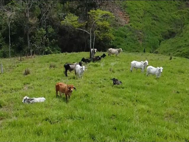 Cortijo de alto standing en venta Puerto Berrío, Colombia
