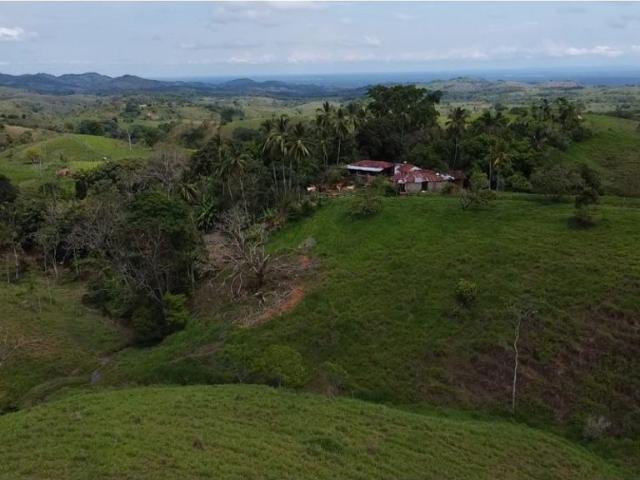 Cortijo de alto standing en venta Puerto Berrío, Colombia