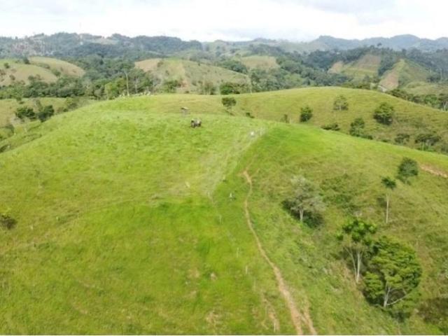 Cortijo de alto standing en venta Puerto Berrío, Colombia