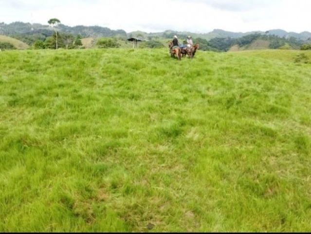 Cortijo de alto standing en venta Puerto Berrío, Colombia