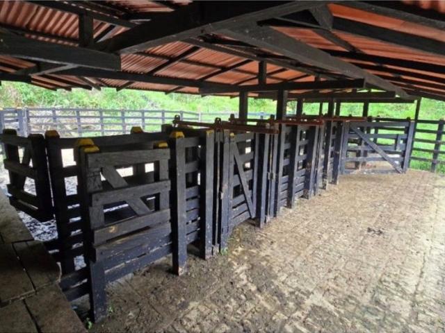 Cortijo de alto standing en venta Puerto Berrío, Colombia