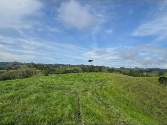Cortijo de alto standing en venta Puerto Berrío, Colombia