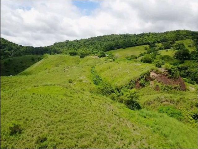 Cortijo de alto standing en venta Puerto Berrío, Colombia