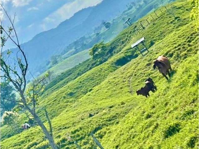 Cortijo de alto standing en venta Puerto Berrío, Colombia