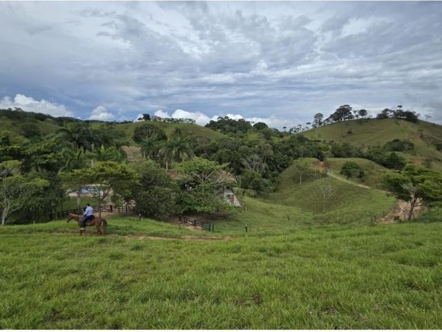 Cortijo de alto standing en venta Puerto Berrío, Colombia