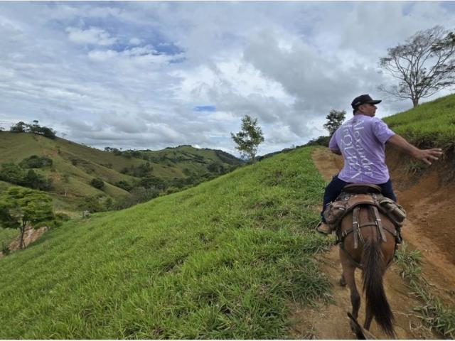 Cortijo de alto standing en venta Puerto Berrío, Colombia