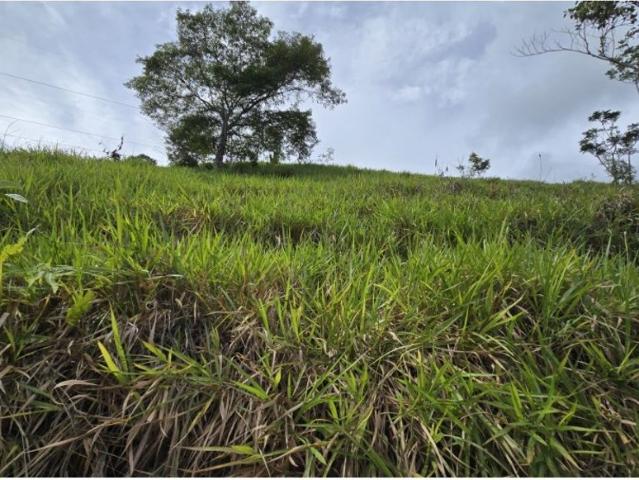 Cortijo de alto standing en venta Puerto Berrío, Colombia