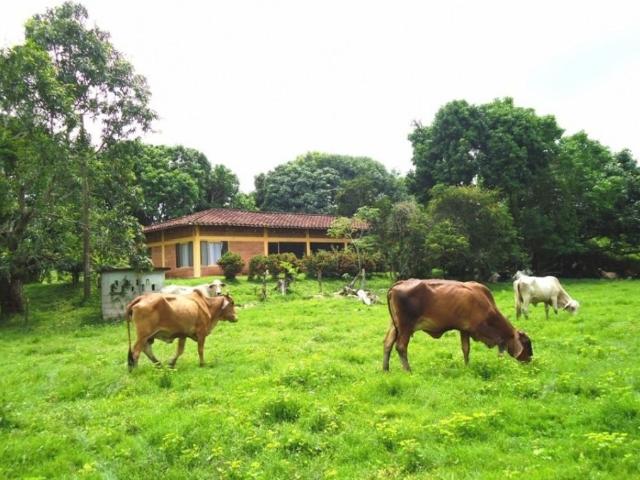 Finca en venta en Boyacá, Occidente