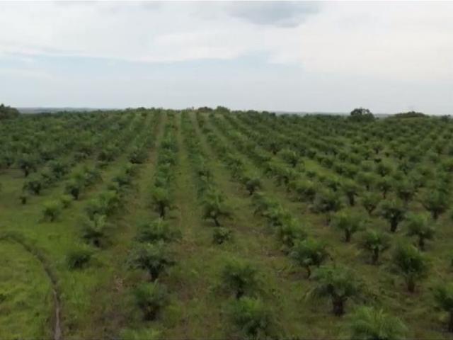 Cortijo de alto standing en venta Puerto Concordia, Colombia