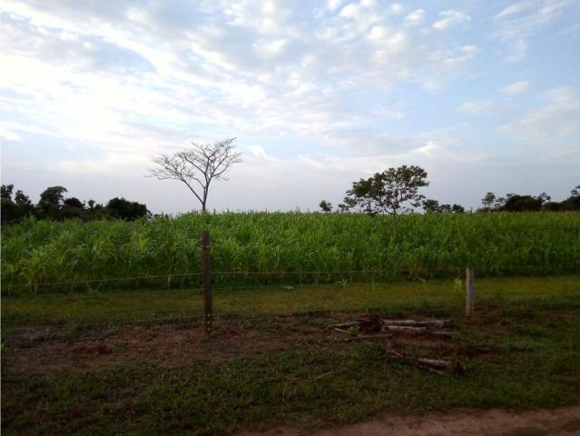 Cortijo de alto standing en venta Puerto Concordia, Colombia