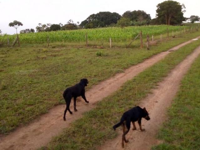 Cortijo de alto standing en venta Puerto Concordia, Colombia