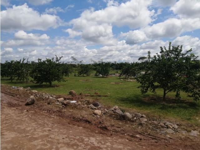 Finca en venta en Restrepo, Piedemonte