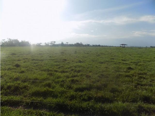 Finca en venta en Restrepo, Piedemonte