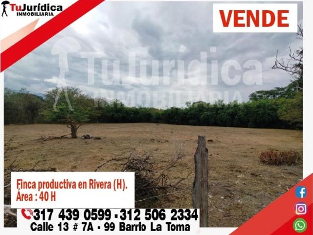 Finca en venta en Rivera, Norte