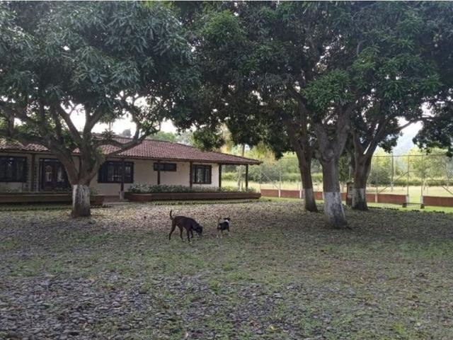 Finca en venta en Roldanillo, Valle Del Cauca