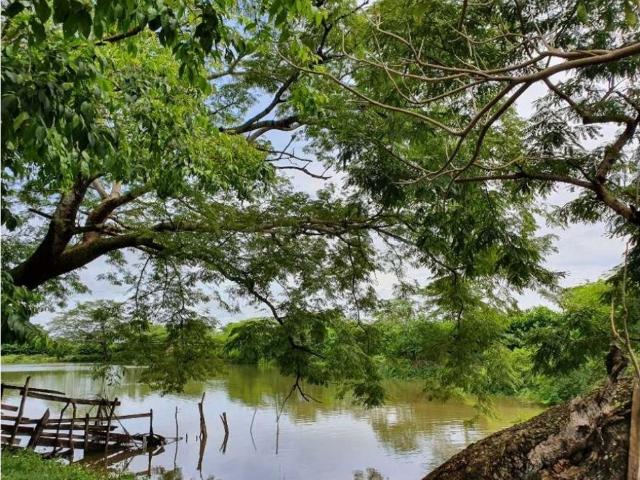 Cortijo de alto standing en venta Sabanalarga, Atlántico