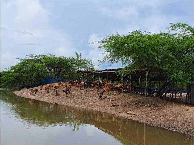 Cortijo de alto standing en venta Sabanalarga, Atlántico