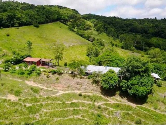 Finca en venta en Antioquia, San Carlos