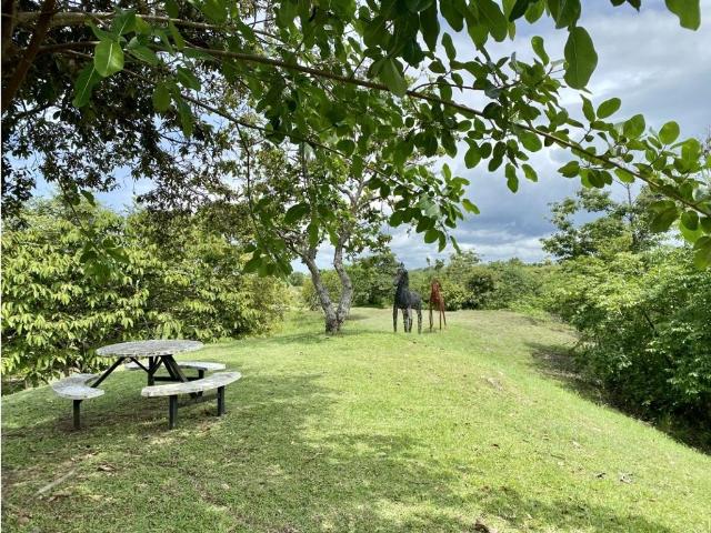 Cortijo de alto standing en venta San Carlos, Panamá Oeste