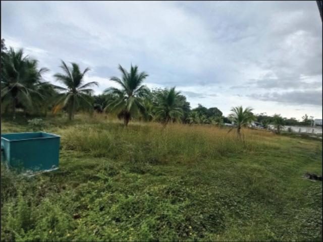 Cortijo de alto standing en venta San Carlos, Panamá Oeste