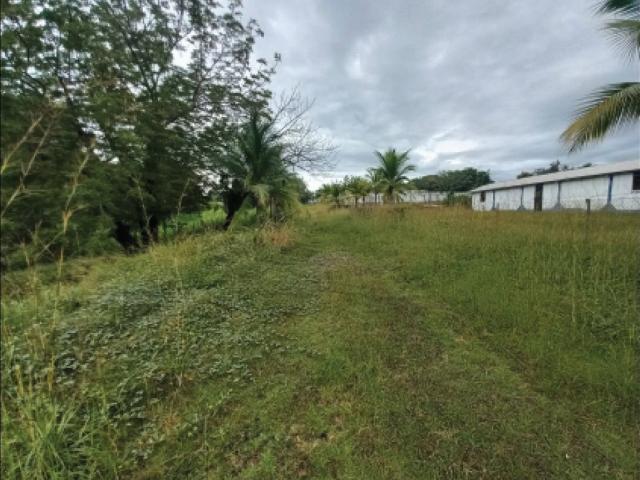 Cortijo de alto standing en venta San Carlos, Panamá Oeste
