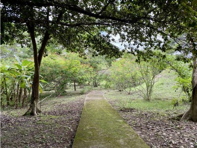 Cortijo de alto standing en venta San Carlos, Panamá Oeste