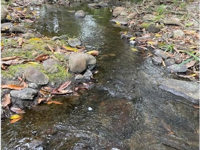 Cortijo de alto standing en venta San Carlos, Panamá Oeste