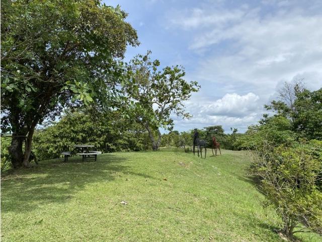 Cortijo de alto standing en venta San Carlos, Panamá Oeste