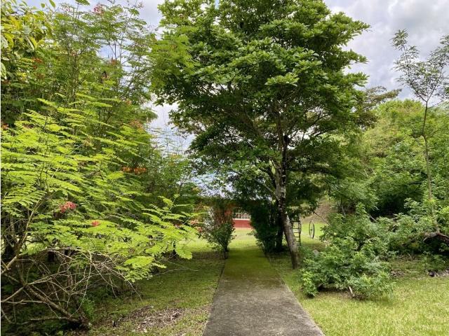 Cortijo de alto standing en venta San Carlos, Panamá Oeste