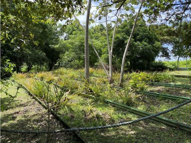 Cortijo de alto standing en venta San Carlos, Panamá Oeste